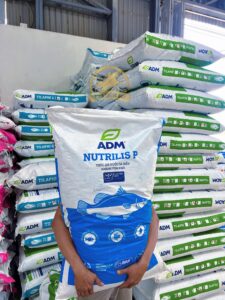 Cám Thủy Sản – Cung Cấp Thức Ăn Cho Cá Koi, Cá Biển, Cá Nước Ngọt, Lươn & Ếch