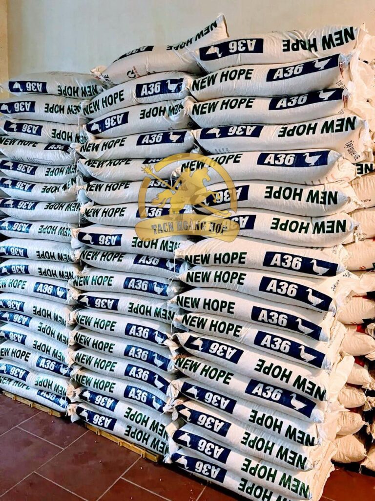 Cám Vịt Thịt New Hope A36
